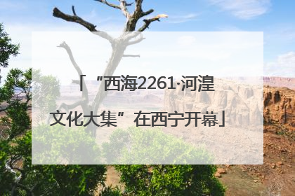 “西海2261·河湟文化大集”在西宁开幕