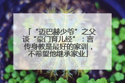 “迈巴赫少爷”之父谈“豪门育儿经”：言传身教是最好的家训，不希望他继承家业