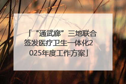“通武廊”三地联合签发医疗卫生一体化2025年度工作方案