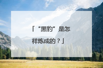 “黑豹”是怎样炼成的？