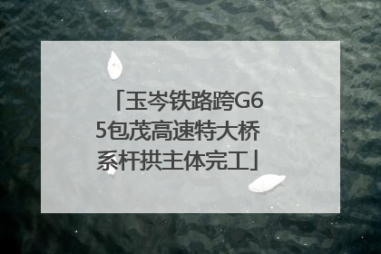 玉岑铁路跨G65包茂高速特大桥系杆拱主体完工
