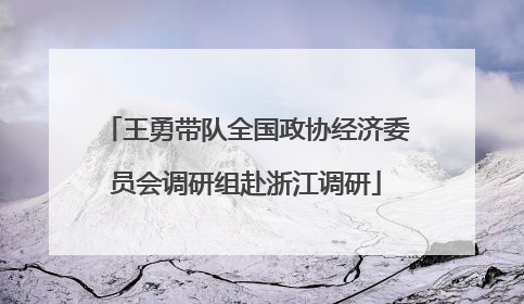 王勇带队全国政协经济委员会调研组赴浙江调研