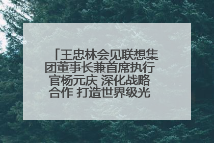 王忠林会见联想集团董事长兼首席执行官杨元庆 深化战略合作 打造世界级光电子信息产业集群
