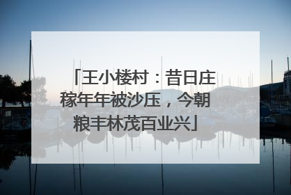 王小楼村：昔日庄稼年年被沙压，今朝粮丰林茂百业兴