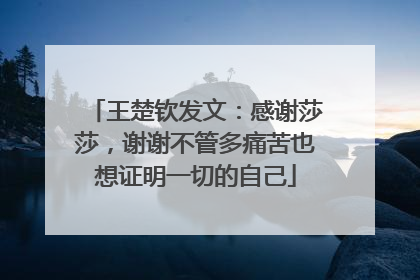 王楚钦发文：感谢莎莎，谢谢不管多痛苦也想证明一切的自己