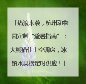热浪来袭，杭州动物园定制“避暑指南”：大熊猫住上空调房，冰镇水果捞定时供应！