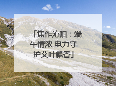 焦作沁阳：端午情浓 电力守护艾叶飘香