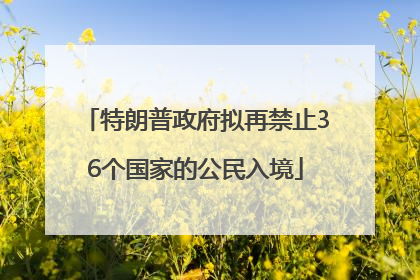 特朗普政府拟再禁止36个国家的公民入境
