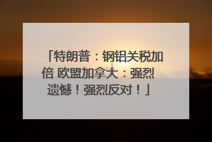 特朗普：钢铝关税加倍 欧盟加拿大：强烈遗憾！强烈反对！
