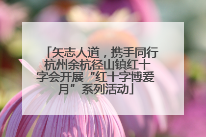 矢志人道，携手同行 杭州余杭径山镇红十字会开展“红十字博爱月”系列活动