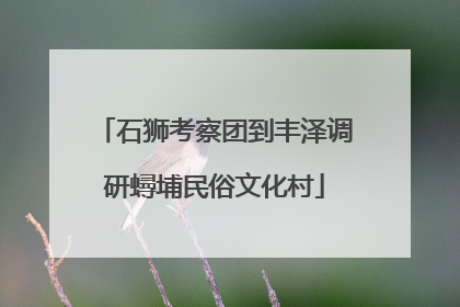 石狮考察团到丰泽调研蟳埔民俗文化村
