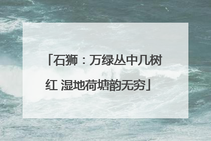 石狮：万绿丛中几树红 湿地荷塘韵无穷