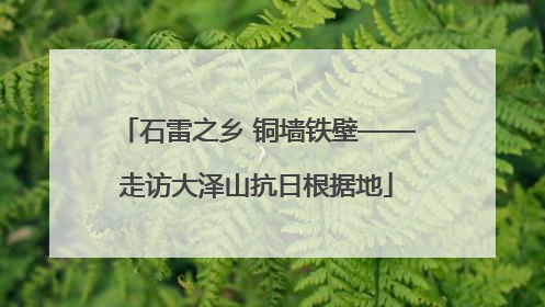 石雷之乡 铜墙铁壁——走访大泽山抗日根据地