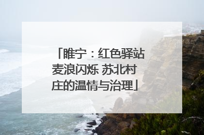 睢宁：红色驿站麦浪闪烁 苏北村庄的温情与治理