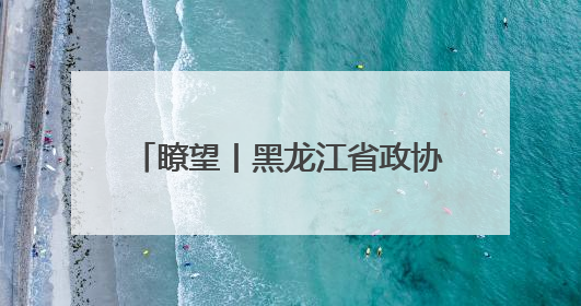 瞭望丨黑龙江省政协精准助力企业纾困