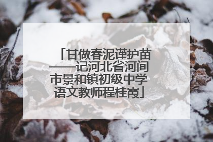 甘做春泥谨护苗——记河北省河间市景和镇初级中学语文教师程桂霞