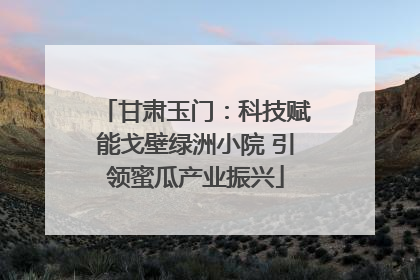 甘肃玉门：科技赋能戈壁绿洲小院 引领蜜瓜产业振兴