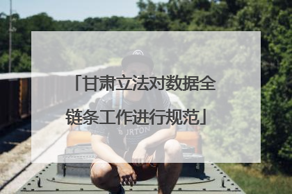 甘肃立法对数据全链条工作进行规范