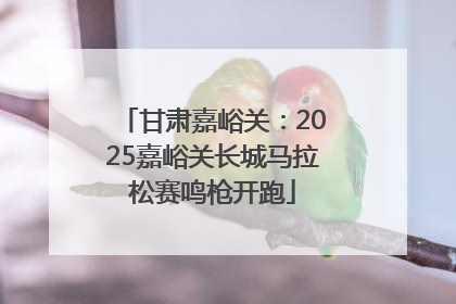 甘肃嘉峪关：2025嘉峪关长城马拉松赛鸣枪开跑
