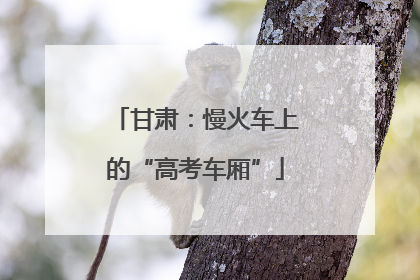 甘肃：慢火车上的“高考车厢”