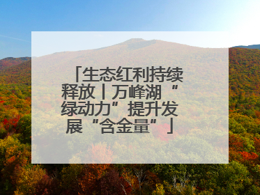 生态红利持续释放丨万峰湖“绿动力”提升发展“含金量”
