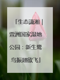 生态潇湘｜萱洲国家湿地公园：新生鹭鸟振翅欲飞