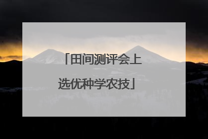 田间测评会上选优种学农技