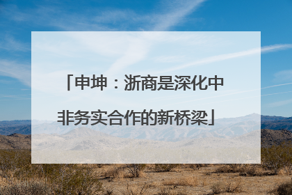 申坤：浙商是深化中非务实合作的新桥梁