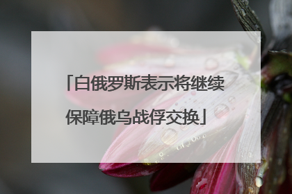 白俄罗斯表示将继续保障俄乌战俘交换