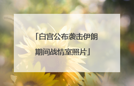 白宫公布袭击伊朗期间战情室照片