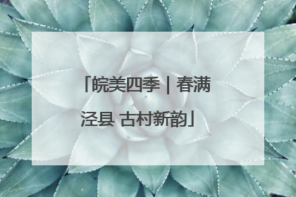 皖美四季｜春满泾县 古村新韵