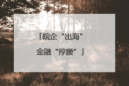 皖企“出海” 金融“撑腰”