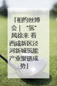 相约丝博会｜“氢”风徐来 看西咸新区泾河新城氢能产业聚链成势