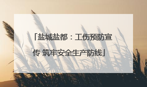 盐城盐都：工伤预防宣传 筑牢安全生产防线
