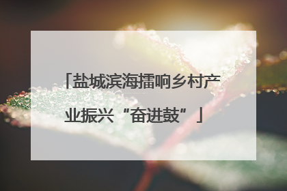 盐城滨海擂响乡村产业振兴“奋进鼓”