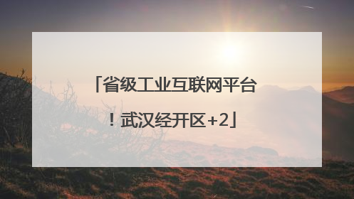 省级工业互联网平台！武汉经开区+2