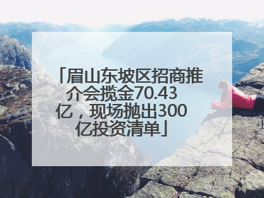 眉山东坡区招商推介会揽金70.43亿，现场抛出300亿投资清单