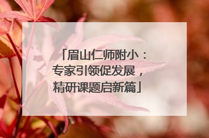 眉山仁师附小：专家引领促发展，精研课题启新篇