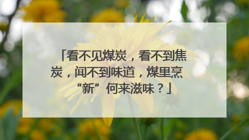 看不见煤炭，看不到焦炭，闻不到味道，煤里烹“新”何来滋味？
