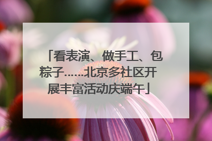 看表演、做手工、包粽子……北京多社区开展丰富活动庆端午