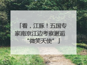 看，江豚！五国专家南京江边考察邂逅“微笑天使”