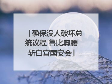 确保没人破坏总统议程 鲁比奥腰斩白宫国安会