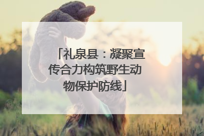 礼泉县：凝聚宣传合力构筑野生动物保护防线