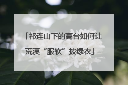 祁连山下的高台如何让荒漠“服软”披绿衣