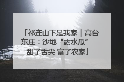 祁连山下是我家｜高台东庄：沙地“露水瓜” 甜了舌尖 富了农家