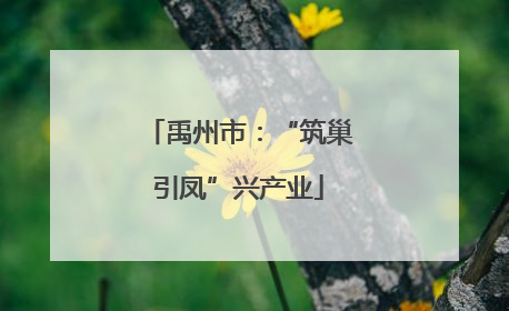 禹州市：“筑巢引凤”兴产业