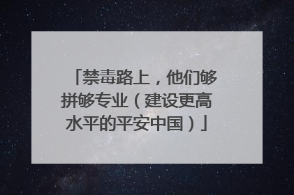 禁毒路上，他们够拼够专业（建设更高水平的平安中国）