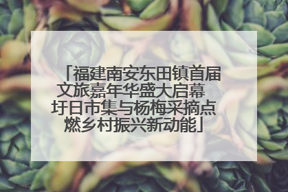 福建南安东田镇首届文旅嘉年华盛大启幕 圩日市集与杨梅采摘点燃乡村振兴新动能