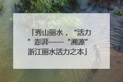 秀山丽水，“活力”澎湃——“溯源”浙江丽水活力之本