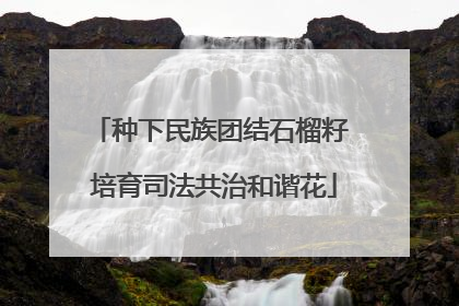 种下民族团结石榴籽 培育司法共治和谐花